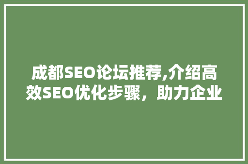 成都SEO论坛推荐,介绍高效SEO优化步骤，助力企业网站流量翻倍