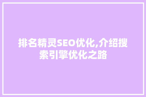 排名精灵SEO优化,介绍搜索引擎优化之路  第1张