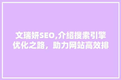 文瑞妍SEO,介绍搜索引擎优化之路，助力网站高效排名