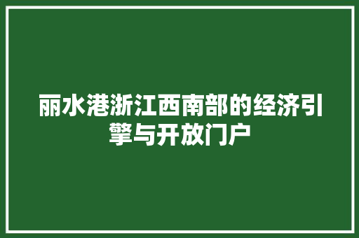 丽水港浙江西南部的经济引擎与开放门户