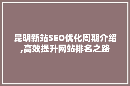 昆明新站SEO优化周期介绍,高效提升网站排名之路