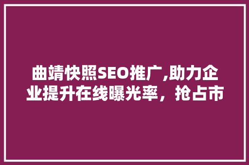 曲靖快照SEO推广,助力企业提升在线曝光率，抢占市场先机