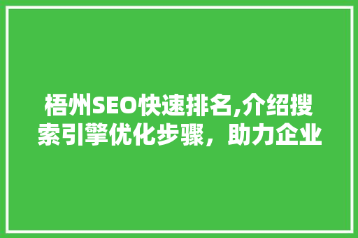 梧州SEO快速排名,介绍搜索引擎优化步骤，助力企业腾飞
