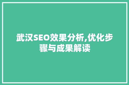 武汉SEO效果分析,优化步骤与成果解读