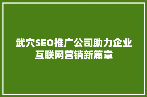 武穴SEO推广公司助力企业互联网营销新篇章