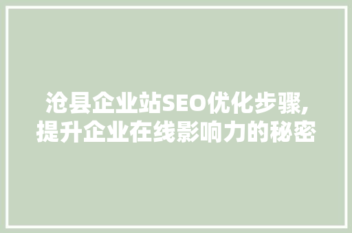 沧县企业站SEO优化步骤,提升企业在线影响力的秘密武器  第1张
