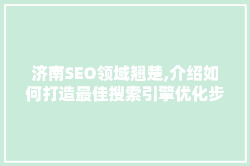 济南SEO领域翘楚,介绍如何打造最佳搜索引擎优化步骤