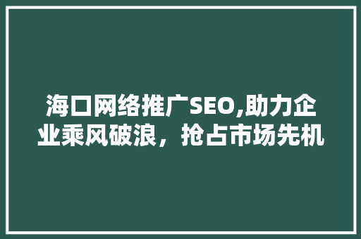 海口网络推广SEO,助力企业乘风破浪，抢占市场先机