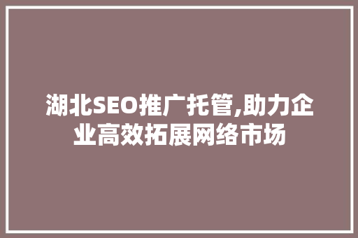 湖北SEO推广托管,助力企业高效拓展网络市场
