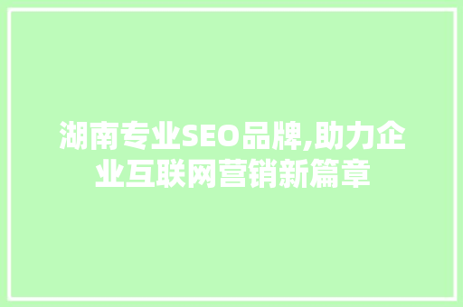 湖南专业SEO品牌,助力企业互联网营销新篇章