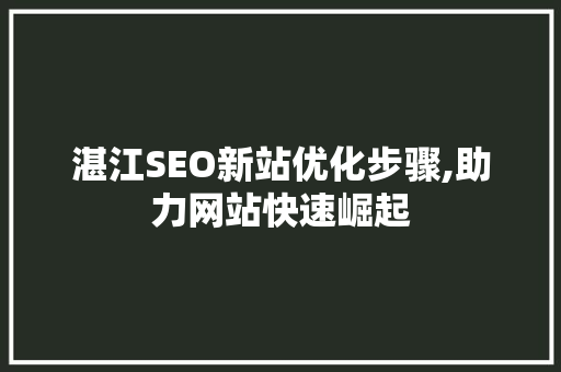 湛江SEO新站优化步骤,助力网站快速崛起