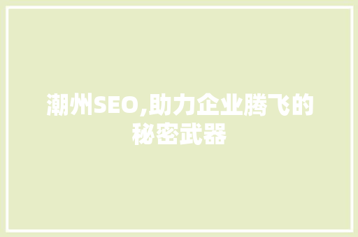 潮州SEO,助力企业腾飞的秘密武器