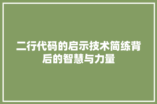 二行代码的启示技术简练背后的智慧与力量