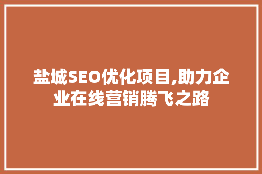 盐城SEO优化项目,助力企业在线营销腾飞之路