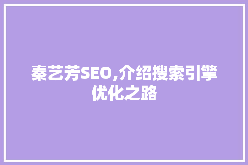 秦艺芳SEO,介绍搜索引擎优化之路