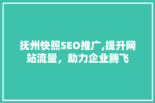 抚州快照SEO推广,提升网站流量，助力企业腾飞