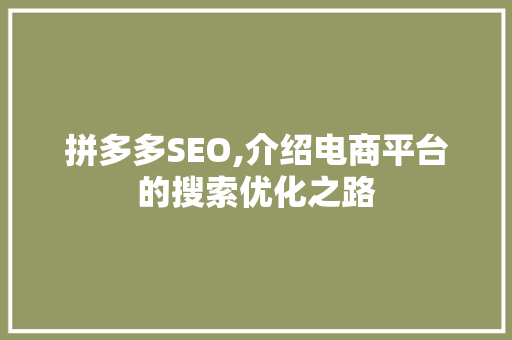 拼多多SEO,介绍电商平台的搜索优化之路