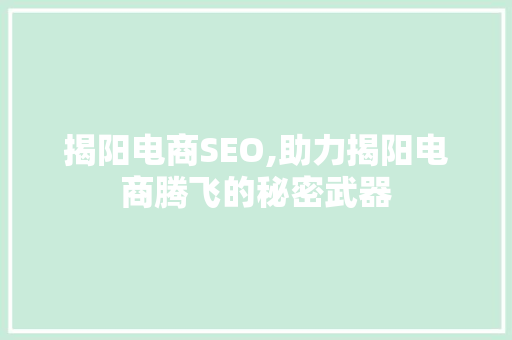 揭阳电商SEO,助力揭阳电商腾飞的秘密武器