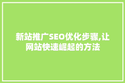 新站推广SEO优化步骤,让网站快速崛起的方法