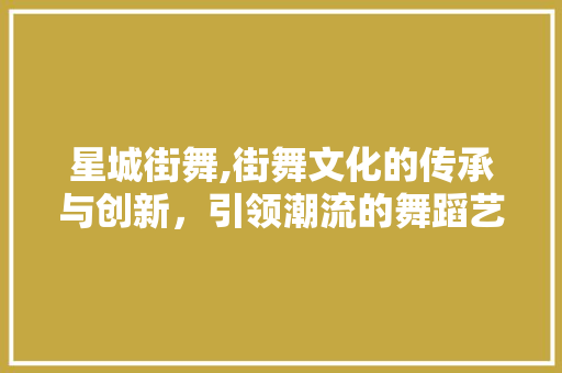 星城街舞,街舞文化的传承与创新，引领潮流的舞蹈艺术