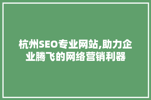 杭州SEO专业网站,助力企业腾飞的网络营销利器