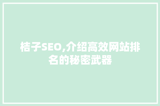 桔子SEO,介绍高效网站排名的秘密武器