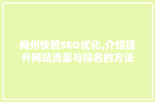 梅州快照SEO优化,介绍提升网站流量与排名的方法