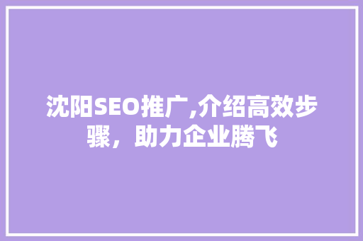 沈阳SEO推广,介绍高效步骤，助力企业腾飞