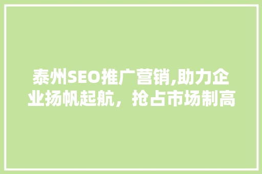 泰州SEO推广营销,助力企业扬帆起航，抢占市场制高点