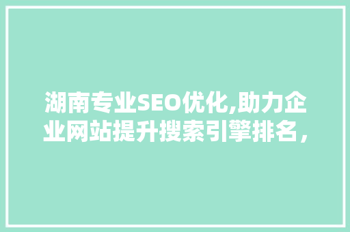 湖南专业SEO优化,助力企业网站提升搜索引擎排名，抢占市场份额