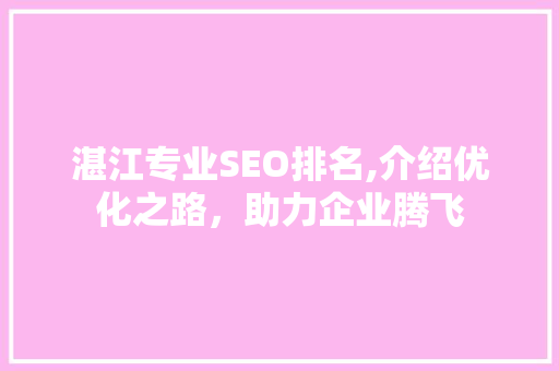 湛江专业SEO排名,介绍优化之路，助力企业腾飞