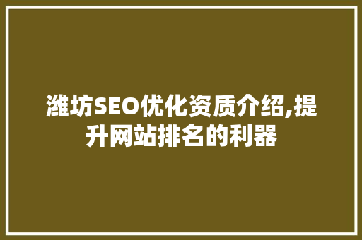 潍坊SEO优化资质介绍,提升网站排名的利器