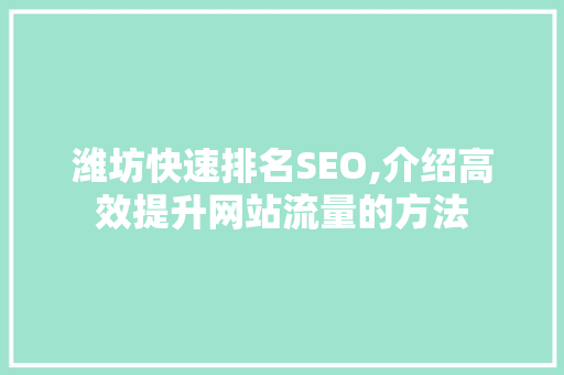 潍坊快速排名SEO,介绍高效提升网站流量的方法