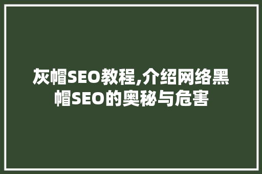 灰帽SEO教程,介绍网络黑帽SEO的奥秘与危害