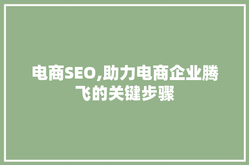 电商SEO,助力电商企业腾飞的关键步骤