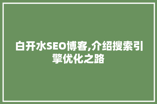 白开水SEO博客,介绍搜索引擎优化之路