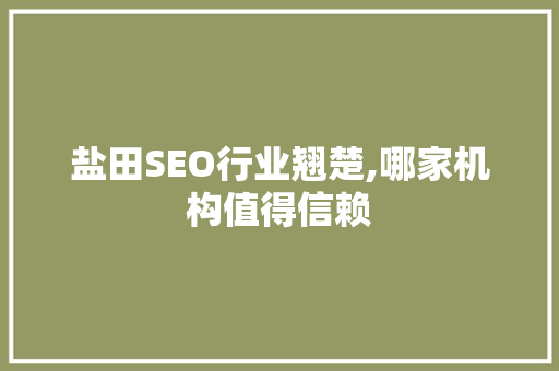 盐田SEO行业翘楚,哪家机构值得信赖