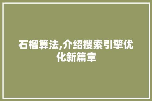 石榴算法,介绍搜索引擎优化新篇章