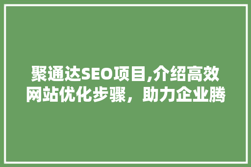 聚通达SEO项目,介绍高效网站优化步骤，助力企业腾飞