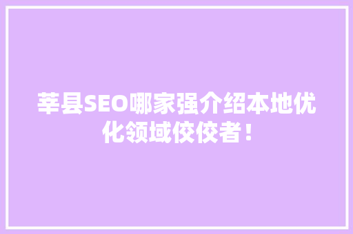 莘县SEO哪家强介绍本地优化领域佼佼者！  第1张