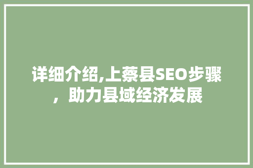 详细介绍,上蔡县SEO步骤，助力县域经济发展