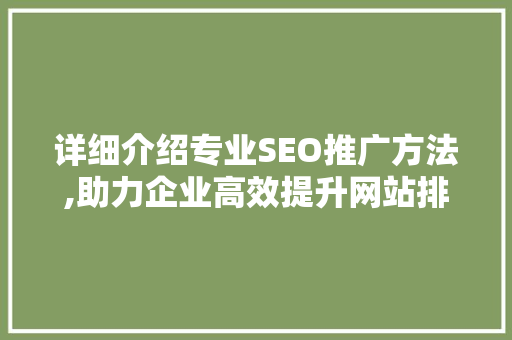 详细介绍专业SEO推广方法,助力企业高效提升网站排名与流量