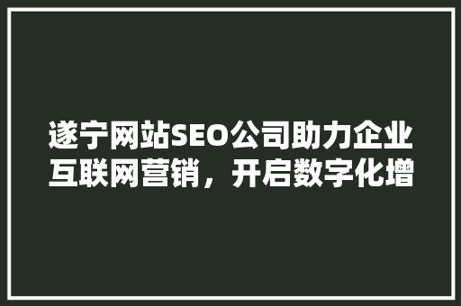 遂宁网站SEO公司助力企业互联网营销，开启数字化增长新篇章