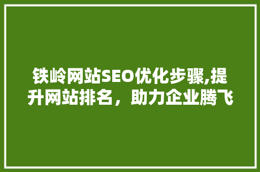 铁岭网站SEO优化步骤,提升网站排名，助力企业腾飞
