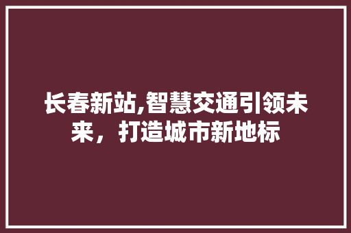 长春新站,智慧交通引领未来，打造城市新地标