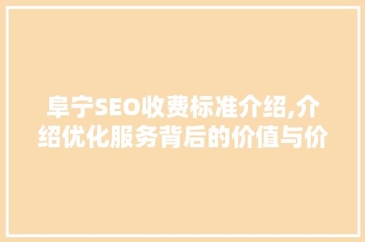 阜宁SEO收费标准介绍,介绍优化服务背后的价值与价格