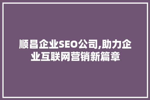 顺昌企业SEO公司,助力企业互联网营销新篇章
