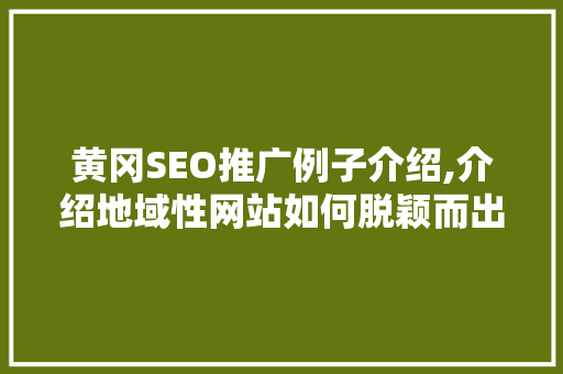 黄冈SEO推广例子介绍,介绍地域性网站如何脱颖而出