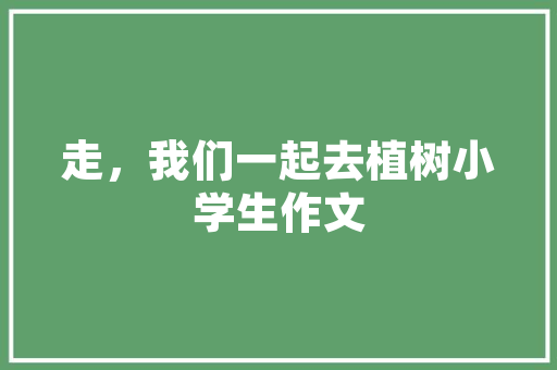龙岗SEO网站优化,提升企业在线竞争力，开启数字营销新时代