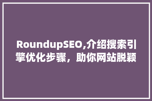 RoundupSEO,介绍搜索引擎优化步骤，助你网站脱颖而出
